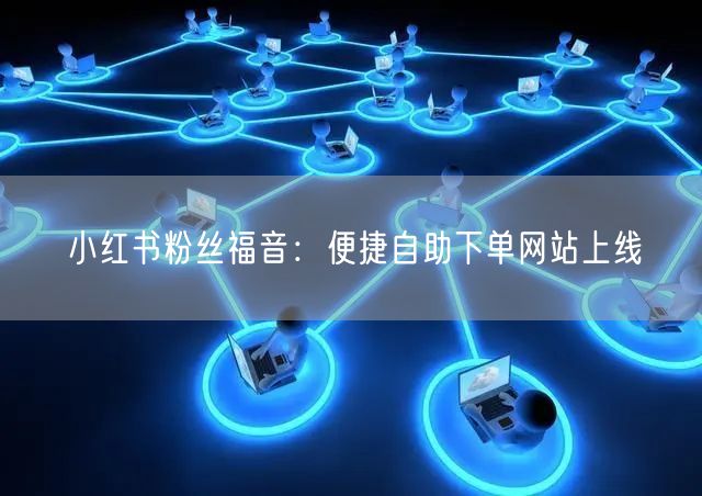 小红书粉丝福音：便捷自助下单网站上线