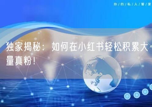 独家揭秘：如何在小红书轻松积累大量真粉！