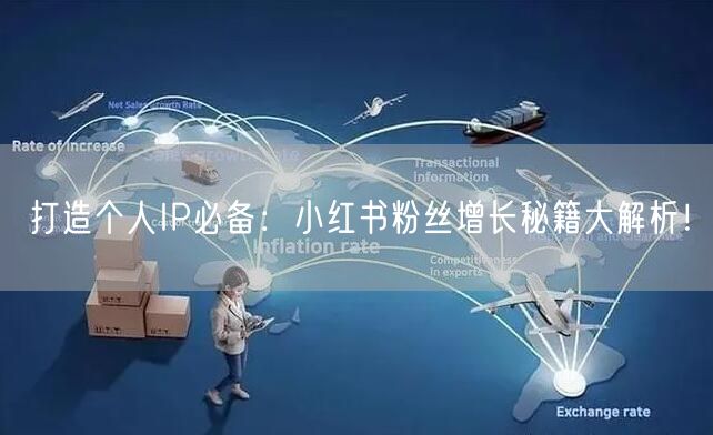 打造个人IP必备：小红书粉丝增长秘籍大解析！
