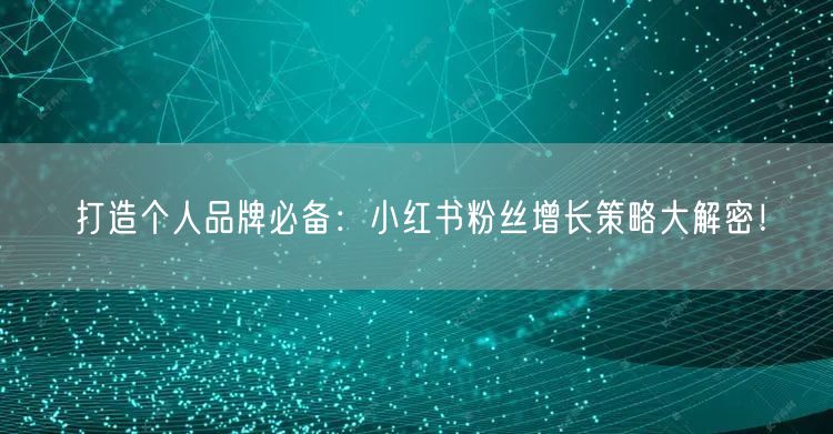 打造个人品牌必备：小红书粉丝增长策略大解密！