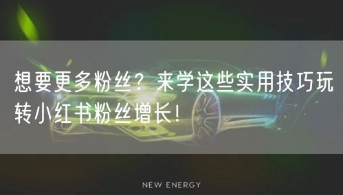 想要更多粉丝？来学这些实用技巧玩转小红书粉丝增长！