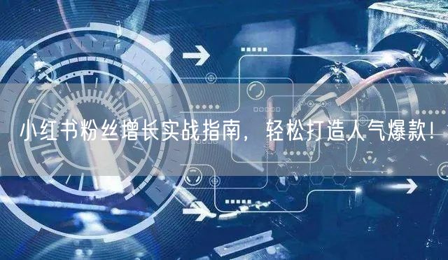 小红书粉丝增长实战指南，轻松打造人气爆款！