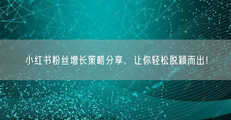 小红书粉丝增长策略分享，让你轻松脱颖而出！