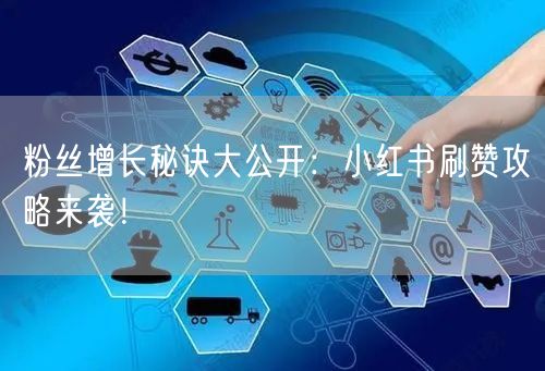 粉丝增长秘诀大公开：小红书刷赞攻略来袭！