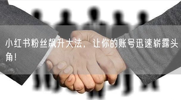 小红书粉丝飙升大法，让你的账号迅速崭露头角！