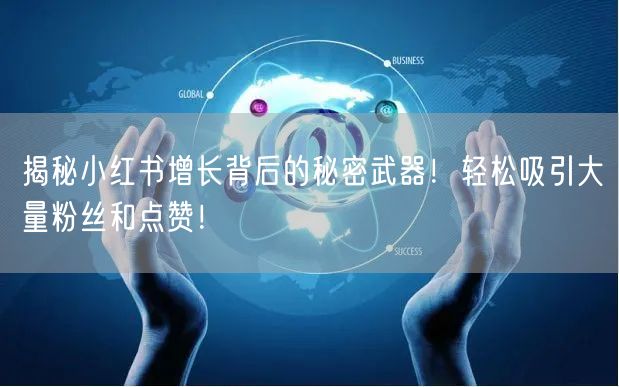 揭秘小红书增长背后的秘密武器！轻松吸引大量粉丝和点赞！