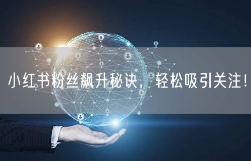 小红书粉丝飙升秘诀，轻松吸引关注！