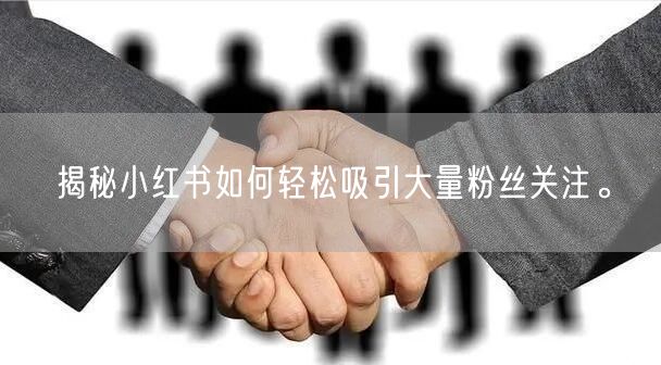 揭秘小红书如何轻松吸引大量粉丝关注。