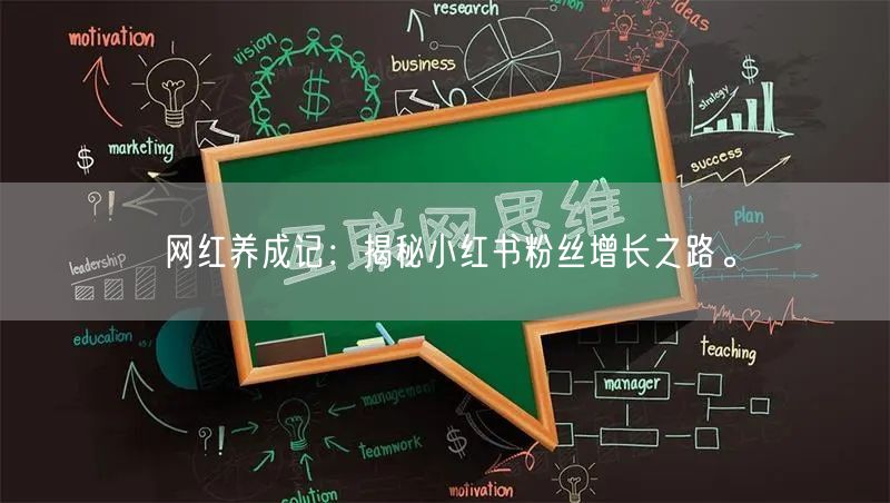 网红养成记：揭秘小红书粉丝增长之路。