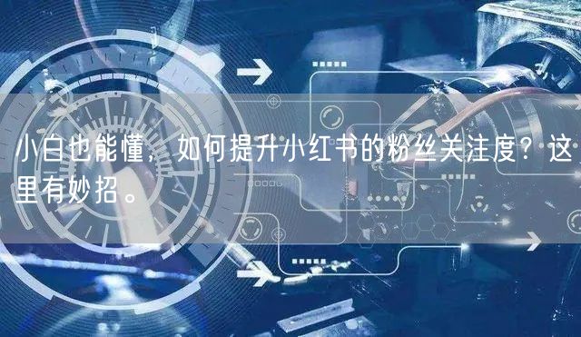 小白也能懂，如何提升小红书的粉丝关注度？这里有妙招。