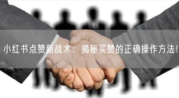 小红书点赞新战术：揭秘买赞的正确操作方法！