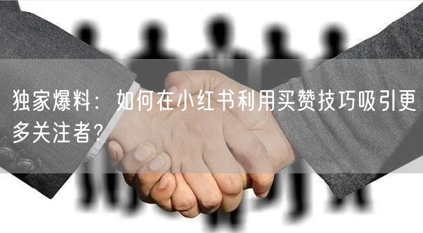 独家爆料：如何在小红书利用买赞技巧吸引更多关注者？