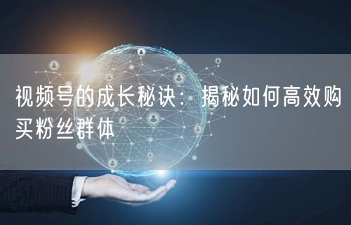 视频号的成长秘诀：揭秘如何高效购买粉丝群体