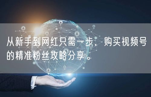 从新手到网红只需一步，购买视频号的精准粉丝攻略分享。